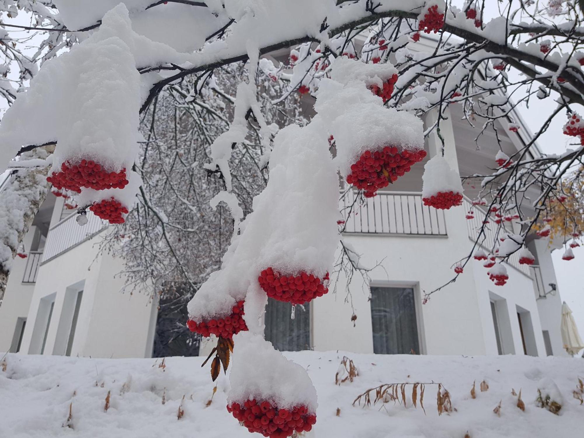 Apart Foresta Samnaun Exterior photo